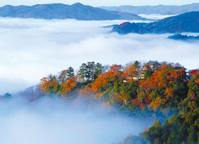 備中松山城　岡山県高梁市