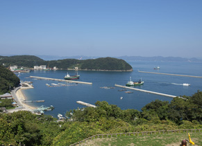 家島　海上釣り堀 水宝（送迎船あり）