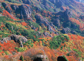 Shodoshima islands Kankakei