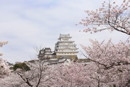 春＝姫路城と桜（4）