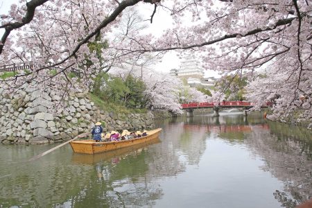 春＝姫路城と桜（8）