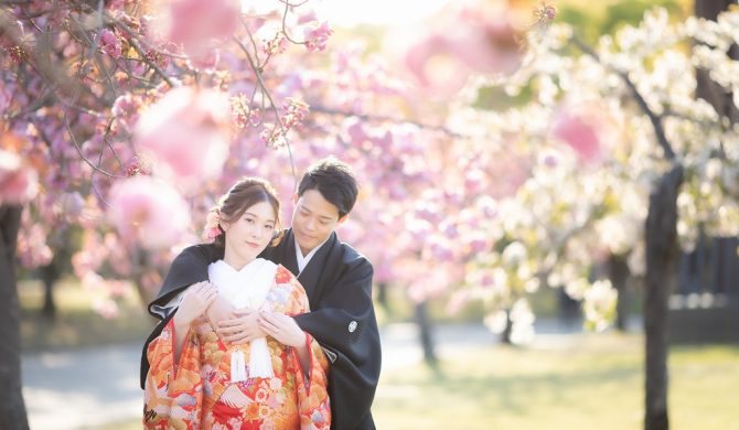 (日本語) 桜の季節が映えるフォトスポット