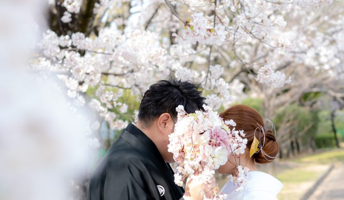 桜の開花がもうすぐですね