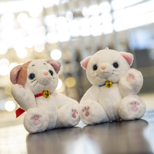 オリジナルキャラクター 「ひめねこ」誕生